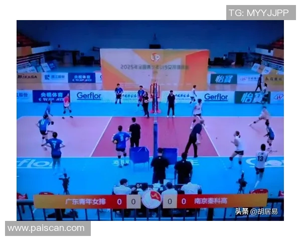 南京排球队引领最新排球节奏TOP10榜单精彩纷呈 南京排球队引领最新排球节奏TOP10榜单精彩纷呈