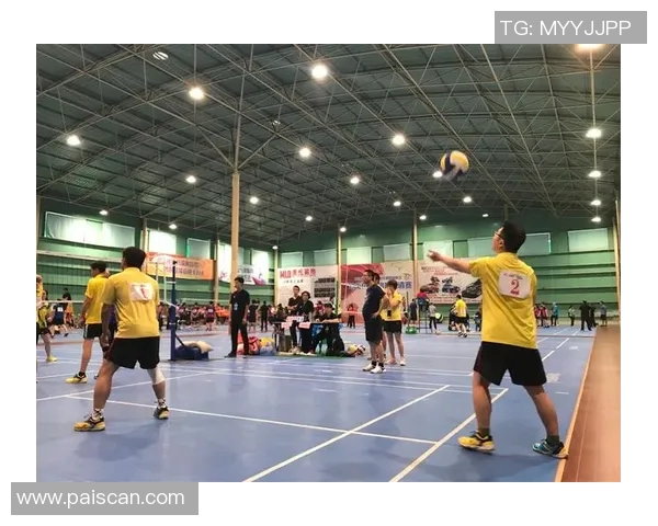 广州排球队实力对比深度剖析各队优势与不足的全面评估