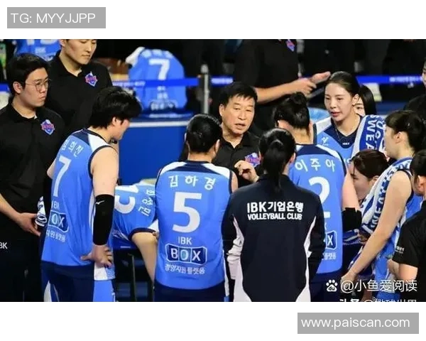 最新排球实力排名前十上海排球队稳居榜首引发关注