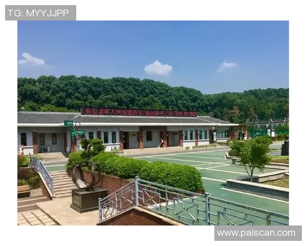 南京网球队快攻革新之路：技术与战术的全面升级与突破