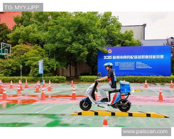 杭州排球队灵活性变革引发热议助力竞技水平提升与战术创新