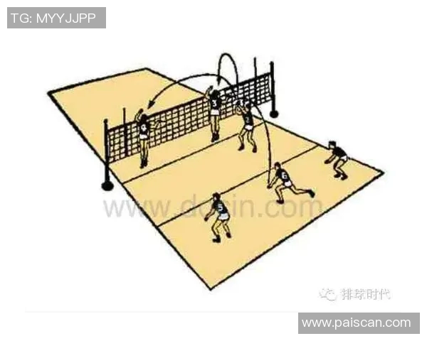 广州排球队在邀请赛中的战术表现分析与点评探讨