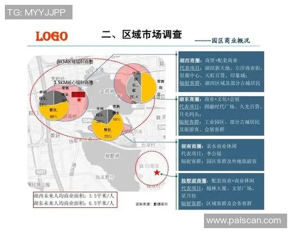 解约足球明星名单全解析及影响因素分析
