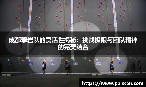成都攀岩队的灵活性揭秘：挑战极限与团队精神的完美结合