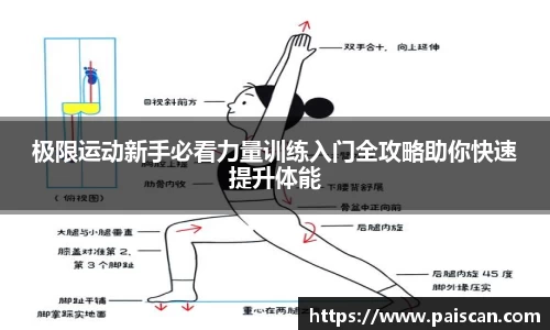 极限运动新手必看力量训练入门全攻略助你快速提升体能